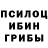 Галлюциногенные грибы Psilocybine cubensis Scott Wagner