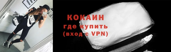 ешки Алексин