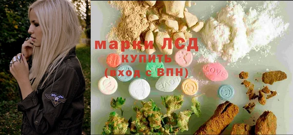 индика Абаза