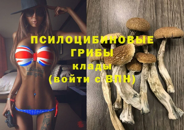 ешки Алексин
