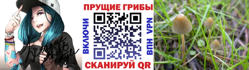 Псилоцибиновые грибы MAGIC MUSHROOMS  Моршанск 