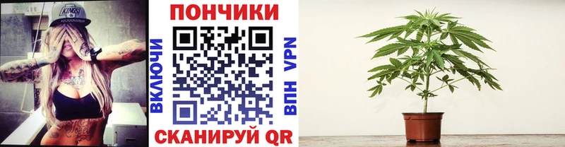 Конопля Amnesia  Моршанск 